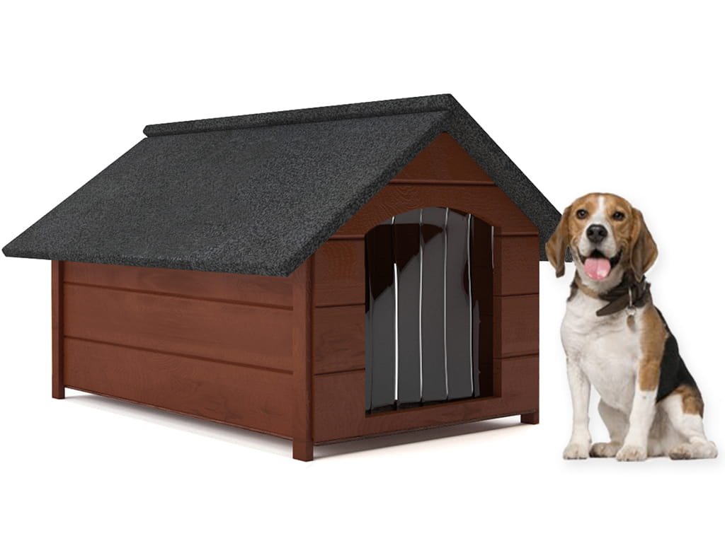 beagle hondenkennel